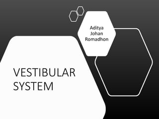 VESTIBULAR
SYSTEM
Aditya
Johan
Romadhon
 