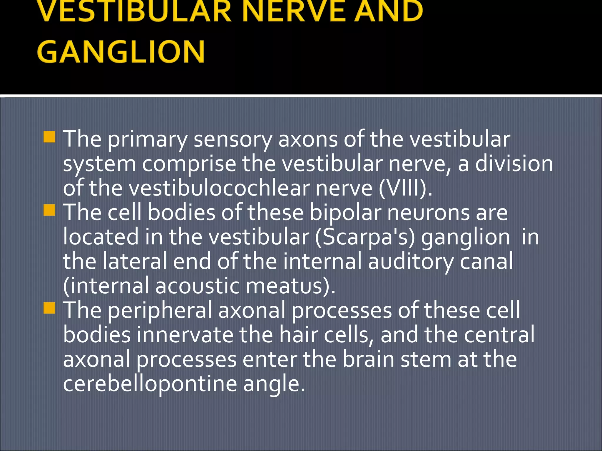  The primary sensory axons of the vestibular

system comprise the vestibular nerve, a division
of the vestibulocochlear nerve (VIII).
 The cell bodies of these bipolar neurons are
located in the vestibular (Scarpa's) ganglion in
the lateral end of the internal auditory canal
(internal acoustic meatus).
 The peripheral axonal processes of these cell
bodies innervate the hair cells, and the central
axonal processes enter the brain stem at the
cerebellopontine angle.

 