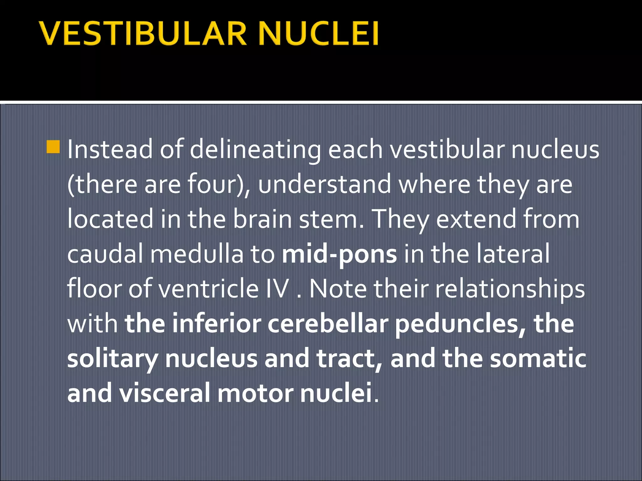  Instead of delineating each vestibular nucleus

(there are four), understand where they are
located in the brain stem. They extend from
caudal medulla to mid-pons in the lateral
floor of ventricle IV . Note their relationships
with the inferior cerebellar peduncles, the
solitary nucleus and tract, and the somatic
and visceral motor nuclei.

 