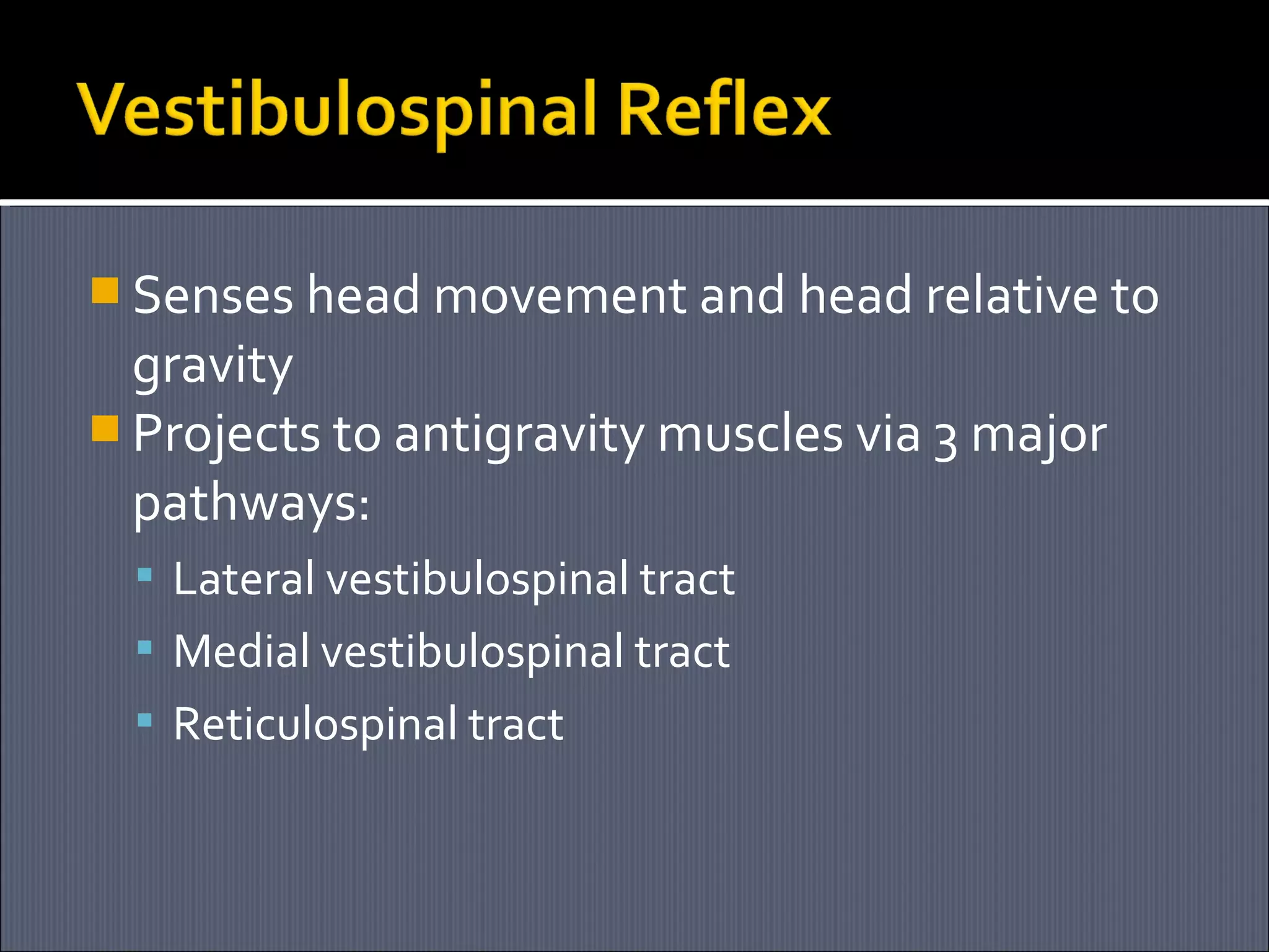  Senses head movement and head relative to

gravity
 Projects to antigravity muscles via 3 major
pathways:
 Lateral vestibulospinal tract
 Medial vestibulospinal tract
 Reticulospinal tract

 
