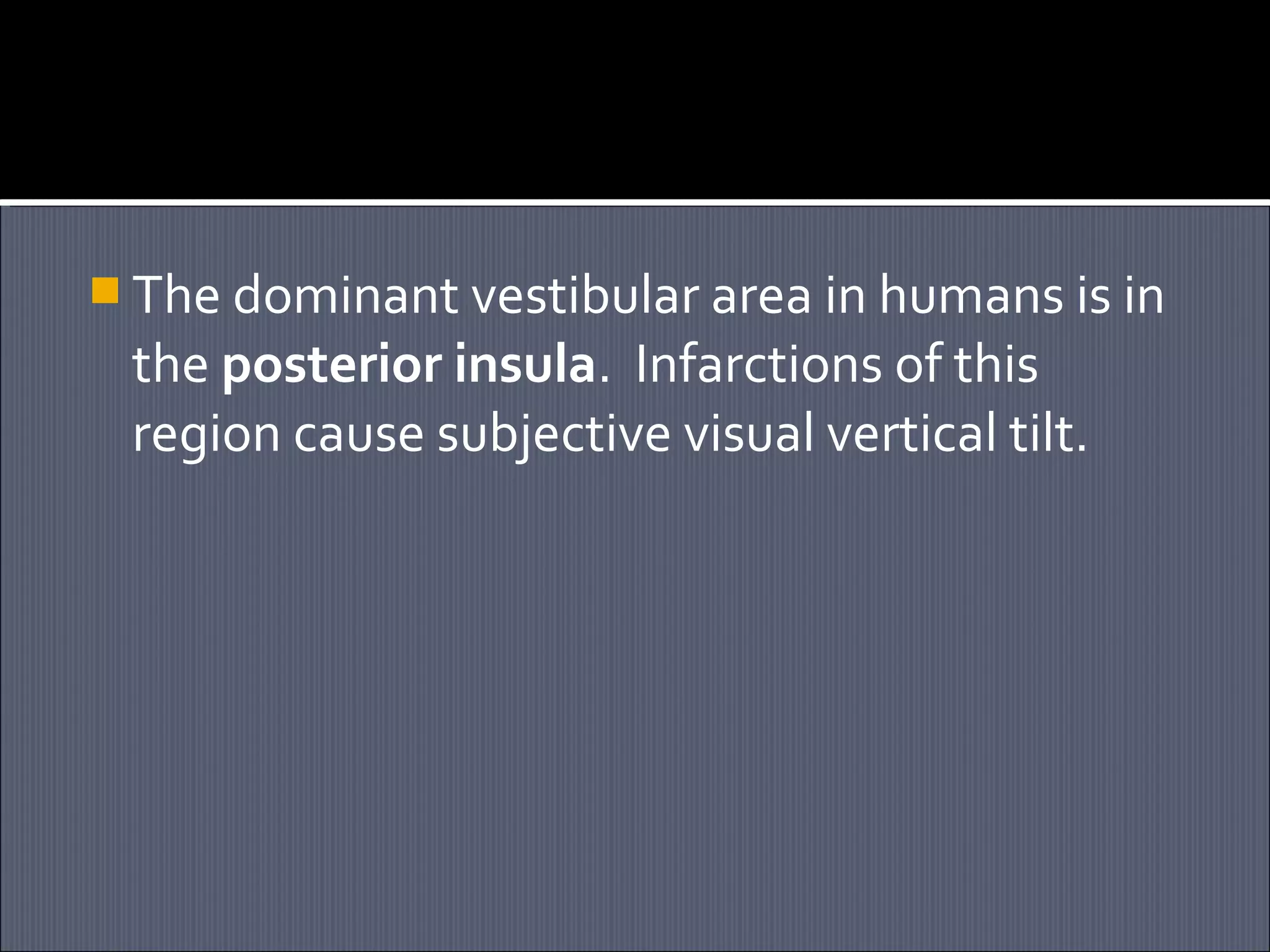  The dominant vestibular area in humans is in

the posterior insula. Infarctions of this
region cause subjective visual vertical tilt.

 