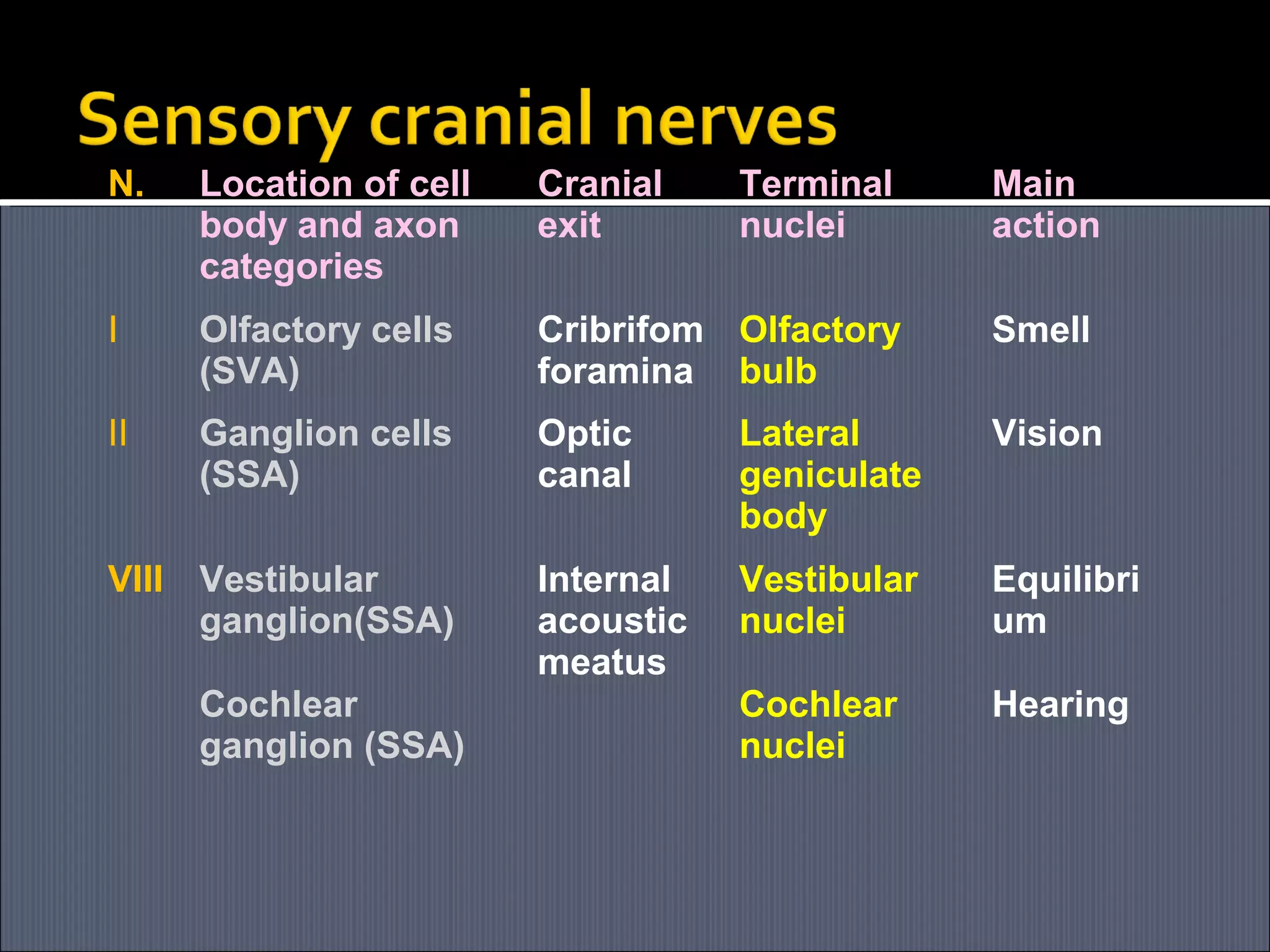 N.

Location of cell
body and axon
categories

Cranial
exit

Terminal
nuclei

Main
action

Ⅰ

Olfactory cells
(SVA)

Cribrifom Olfactory
foramina bulb

Smell

Ⅱ

Ganglion cells
(SSA)

Optic
canal

Lateral
geniculate
body

Vision

Internal
acoustic
meatus

Vestibular
nuclei

Equilibri
um

Cochlear
nuclei

Hearing

VIII Vestibular
ganglion(SSA)
Cochlear
ganglion (SSA)

 