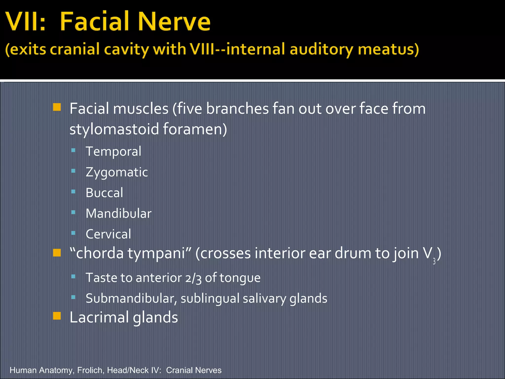 

Facial muscles (five branches fan out over face from
stylomastoid foramen)
 Temporal
 Zygomatic
 Buccal
 Mandibular
 Cervical



“chorda tympani” (crosses interior ear drum to join V3 )
 Taste to anterior 2/3 of tongue
 Submandibular, sublingual salivary glands



Lacrimal glands

Human Anatomy, Frolich, Head/Neck IV: Cranial Nerves

 