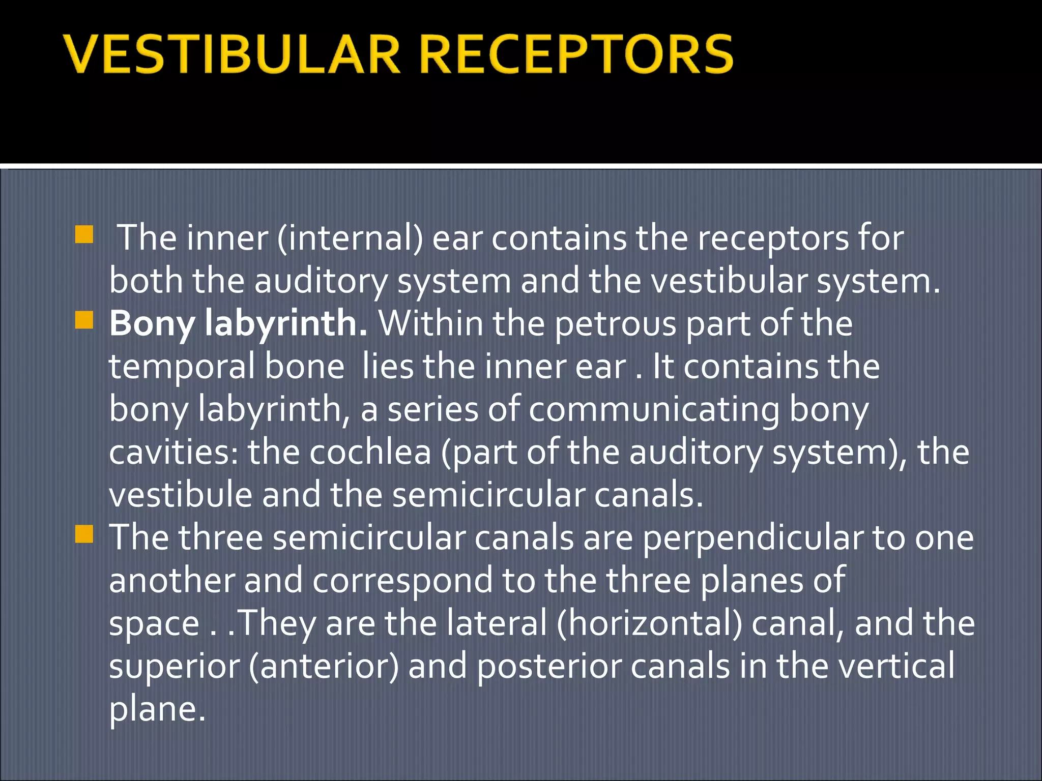 The inner (internal) ear contains the receptors for
both the auditory system and the vestibular system.
 Bony labyrinth. Within the petrous part of the
temporal bone lies the inner ear . It contains the
bony labyrinth, a series of communicating bony
cavities: the cochlea (part of the auditory system), the
vestibule and the semicircular canals.
 The three semicircular canals are perpendicular to one
another and correspond to the three planes of
space . .They are the lateral (horizontal) canal, and the
superior (anterior) and posterior canals in the vertical
plane.


 