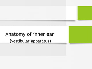 Anatomy of inner ear
(vestibular apparatus)
 