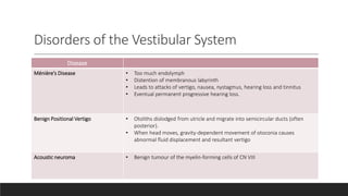 Disorders of the Vestibular System
Disease
Ménière’s Disease • Too much endolymph
• Distention of membranous labyrinth
• Leads to attacks of vertigo, nausea, nystagmus, hearing loss and tinnitus
• Eventual permanent progressive hearing loss.
Benign Positional Vertigo • Otoliths dislodged from utricle and migrate into semicircular ducts (often
posterior).
• When head moves, gravity-dependent movement of otoconia causes
abnormal fluid displacement and resultant vertigo
Acoustic neuroma • Benign tumour of the myelin-forming cells of CN VIII
 