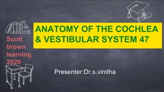 Scott
brown
learning
2020
ANATOMY OF THE COCHLEA
& VESTIBULAR SYSTEM 47
Presenter:Dr.s.vinitha
 