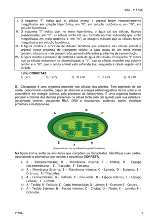 SSA – 1ª FASE

I. O  esquema  “I”  indica  que  as  células  animal  e  vegetal  foram  respectivamente 
mergulhadas  em  solução  hipertônica;  em  “II”,  em  solução  isotônica  e,  em  “III”,  em 
solução hipotônica. 
II. O  esquema  “I”  indica  que,  no  meio  hipertônico,  a  água  sai  das  células,  ficando 
plasmolisadas;  em  “II”,  as  células  estão  em  seu  formato  normal,  indicando  que  estão 
mergulhadas  em  meio  isotônico  e,  em  “III”,  as  imagens  indicam  que  as  células  foram 
mergulhadas em solução hipotônica. 
III. A  figura  mostra  o  processo  de  difusão  facilitada  que  acontece  nas  células  animal  e 
vegetal.  Nesse  processo  de  transporte  celular,  a  água  passa  de  um  meio  menos 
concentrado para o mais concentrado, gerando diferentes gradientes de concentração. 
IV. A figura mostra o processo de entrada e saída de água das células. O esquema “I” indica 
que  as  células  encontram‐se  plasmolisadas;  o  “II”,  que  as  células  mantêm  seu  volume 
celular  e  o  “III”,  que  a  célula  animal  está  sofrendo  lise,  enquanto  a  célula  vegetal  está 
túrgida. 
Estão CORRETAS

a) I e II. 

b) I e IV. 

c) III e IV. 

d) II e IV. 

e) II e III. 

5. Cloroplasto é uma organela presente nas células das plantas. Tem pigmento de cor
verde, denominado clorofila, capaz de absorver a energia eletromagnética da luz solar e de
convertê-la em energia química pelo processo da fotossíntese. É uma organela bastante
peculiar e distinta das demais presentes na célula tanto pela cor quanto pela sua estrutura,
geralmente laminar, possuindo RNA, DNA e ribossomos, podendo, assim, sintetizar
proteínas e multiplicar-se.

(Disponível em: http://pt.wikipedia.org/wiki/Cloroplasto)

Na figura acima, estão as estruturas que compõem os cloroplastos. Identifique suas partes,
assinalando a alternativa que contém a sequência CORRETA.

a) A  ‐  Cloromembrana;  B  ‐  Membrana  Interna;  C  ‐  Cristas;  D  ‐  Espaço 
Intramembranar;   E ‐ Tilacoide;   F ‐ Estroma. 
b) A  ‐  Membrana  Externa;  B  ‐  Membrana  Interna;  C  ‐  Lamela;  D  ‐  Estroma;  E  ‐ 
Granum;   F ‐ Tilacoides. 
c) A  ‐  Exomembrana;  B  ‐  Folículo;  C  ‐  Canuloide;  D  ‐  Espaço  interno;  E  ‐  Espaço 
Celular;    F ‐ Lúmen. 
d) A ‐ Tecido; B ‐ Folículo; C ‐ Canal Intracelular; D ‐ Lúmen; E ‐ Granum; F ‐ Cristas. 
e) A  ‐  Tecido  Externo;  B  ‐  Tecido  Interno;  C  ‐  Cristas;  D  ‐  Plasto;  E  ‐  Lamela;  F  ‐ 
Grânulos. 

2º DIA 	

5 

 