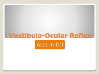 Vestibulo-Ocular Reflex
Asad Iqbal