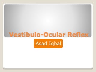 Vestibulo-Ocular Reflex
Asad Iqbal
 