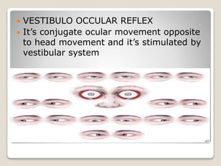 Vestibulo ocular reflex | PPT