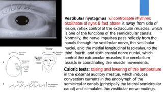 Fast Canals Vestibulocochlear Nerve by Dr. Rabia Inam Gandapore.pptx