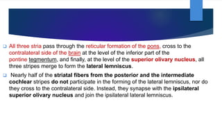 Vestibulocochlear Nerve by Dr. Rabia Inam Gandapore.pptx