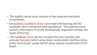 • The eighth cranial nerve consists of two separate functional
components:
• the auditory (cochlear) nerve concerned with ...