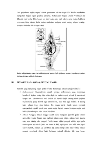 Dari penjelasan bagian organ kelamin perempuan di atas dapat kita ketahui vestibulum 
merupakan bagian organ genetalia eksterna. Keberadaan bagian kelamin Vestibulum ini 
dibasahi oleh kedua labia kanan kiri dan bagian atas oleh klitoris serta bagian belakang 
pertemuan labia minora. Pada bagian vestibulum terdapat muara vagina, saluran kencing, 
kelenjar bartholin dan kelenjar sken. 
Bagian sebelah dalam organ reproduksi eksternal wanita. Pada sisi kanan gambar – gambaran struktur 
kulit dan jaringan subkutis dihilangkan 
III. PENYAKIT PADA ORGAN GENITAL WANITA 
Penyakit yang menyerang organ genital wanita diantaranya adalah sebagai berikut : 
 Endometrosis; Endometriosis adalah jaringan endometrium yang semestinya 
berada di lapisan paling dlm rahim (lapis an endometrium) terletak & tumbuh di 
tempat lain. Endometriosis bisa terletak di lapisan tengah dinding rahim (lapisan 
myometrium) yang disebut juga adenomyosis, atau bisa juga terletak di indung 
telur, saluran telur, atau bahkan dlm rongga perut. Gejala umum penyakit 
endometriosis adalah nyeri yang sangat pada daerah panggul terutama pada saat 
haid & berhubungan intim, serta infertilitas. 
 Infeksi Panggul; Infeksi panggul adalah suatu kumpulan penyakit pada saluran 
reproduksi wanita bagian atas, meliputi radang pada rahim, saluran telur, indung 
telur, atau dinding dlm panggul. Gejala umum infeksi panggul adalah: nyeri pada 
daerah pusar ke bawah (pada sisi kanan & kiri), nyeri pada awal haid, mual, nyeri 
saat berkemih, demam, & keputihan dgn cairan yang kental atau berbau. Infeksi 
panggul memburuk akibat haid, hubungan seksual, aktivitas fisik yang berat, 
 