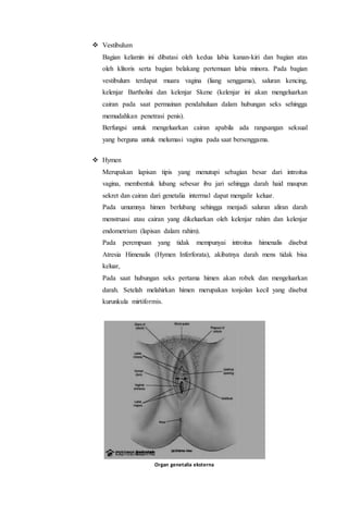  Vestibulum 
Bagian kelamin ini dibatasi oleh kedua labia kanan-kiri dan bagian atas 
oleh klitoris serta bagian belakang pertemuan labia minora. Pada bagian 
vestibulum terdapat muara vagina (liang senggama), saluran kencing, 
kelenjar Bartholini dan kelenjar Skene (kelenjar ini akan mengeluarkan 
cairan pada saat permainan pendahuluan dalam hubungan seks sehingga 
memudahkan penetrasi penis). 
Berfungsi untuk mengeluarkan cairan apabila ada rangsangan seksual 
yang berguna untuk melumasi vagina pada saat bersenggama. 
 Hymen 
Merupakan lapisan tipis yang menutupi sebagian besar dari introitus 
vagina, membentuk lubang sebesar ibu jari sehingga darah haid maupun 
sekret dan cairan dari genetalia interrnal dapat mengalir keluar. 
Pada umumnya himen berlubang sehingga menjadi saluran aliran darah 
menstruasi atau cairan yang dikeluarkan oleh kelenjar rahim dan kelenjar 
endometrium (lapisan dalam rahim). 
Pada perempuan yang tidak mempunyai introitus himenalis disebut 
Atresia Himenalis (Hymen Inferforata), akibatnya darah mens tidak bisa 
keluar, 
Pada saat hubungan seks pertama himen akan robek dan mengeluarkan 
darah. Setelah melahirkan himen merupakan tonjolan kecil yang disebut 
kurunkula mirtiformis. 
Organ genetalia eksterna 
 
