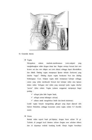 b) Genetalia interna 
 Vagina 
Merupakan saluran muskulo-membranasea (otot-selaput) yang 
menghubungkan rahim dengan dunia luar. Bagian ototnya berasal dari otot 
levator ani dan otot sfingter ani (otot dubur) sehingga dapat dikendalikan 
dan dilatih. Dinding vagina mempunyai lipatan sirkuler (berkerut) yang 
disebut “rugae”. Dinding depan vagina berukuran 9cm dan dinding 
belakangnya 11cm. Selaput vagina tidak mempunyai kelenjar sehingga 
cairan yang selalu membasahi berasal dari kelenjar rahim atau lapisan 
dalam rahim. Sebagian dari rahim yang menonjol pada vagina disebut 
“porsio” (leher rahim). Vagina (saluran senggama) mempunyai fungsi 
penting : 
 sebagai jalan lahir bagian lunak, 
 sebagai sarana hubungan seksual, 
 saluran untuk mengalirkan lendir dan darah menstruasi. 
Lendir vagina banyak mengandung glikogen yang dapat dipecah oleh 
bakteri Doderlein, sehingga keasaman cairan vagina sekitar 4,5 (bersifat 
asam). 
 Uterus 
Bentuk rahim seperti buah pir/Alpukat, dengan berat sekitar 30 gr. 
Terletak di panggul kecil diantara rektum (bagian usus sebelum dubur) 
dan di depannya terletak kandung kemih. Hanya bagian bawahnya 
 