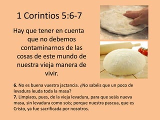 1 Corintios 5:6-7
Hay que tener en cuenta
    que no debemos
  contaminarnos de las
 cosas de este mundo de
 nuestra vieja manera de
           vivir.
6. No es buena vuestra jactancia. ¿No sabéis que un poco de
levadura leuda toda la masa?
7. Limpiaos, pues, de la vieja levadura, para que seáis nueva
masa, sin levadura como sois; porque nuestra pascua, que es
Cristo, ya fue sacrificada por nosotros.
 