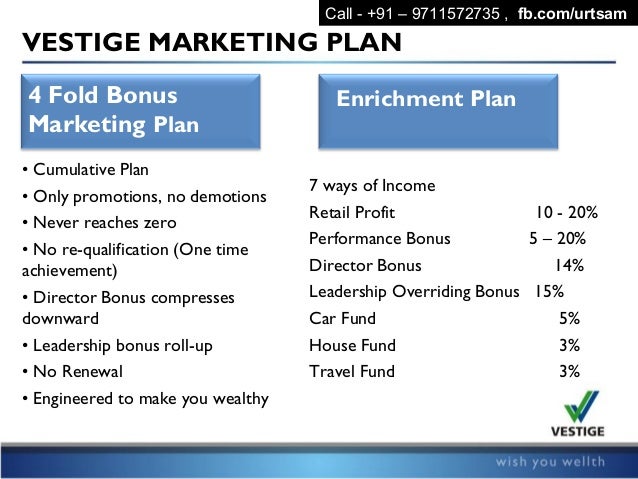 vestige company business plan