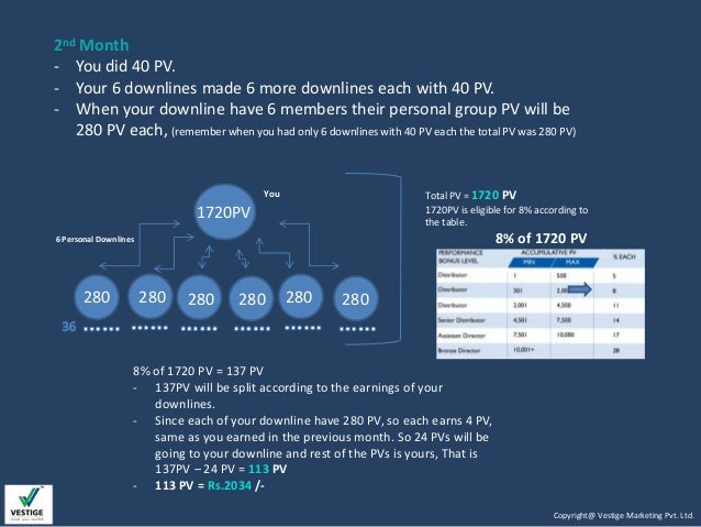 Vestige business plan slideshare picture