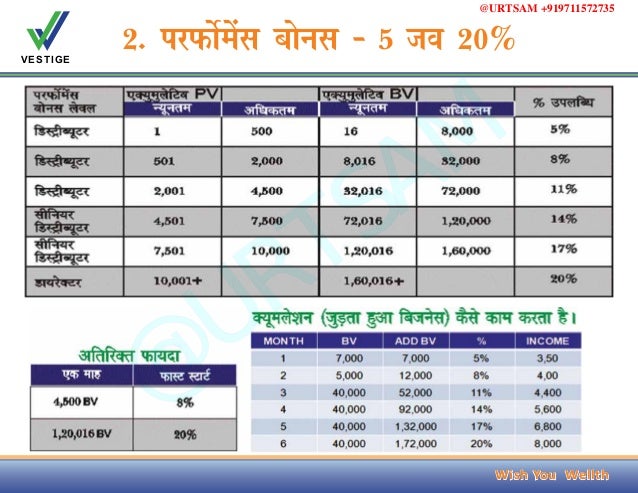 vestige business plan pdf in hindi