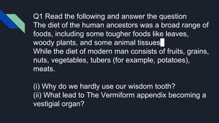 Q1 Read the following and answer the question
The diet of the human ancestors was a broad range of
foods, including some tougher foods like leaves,
woody plants, and some animal tissues.
While the diet of modern man consists of fruits, grains,
nuts, vegetables, tubers (for example, potatoes),
meats.
(i) Why do we hardly use our wisdom tooth?
(ii) What lead to The Vermiform appendix becoming a
vestigial organ?
 