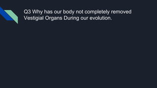 Q3 Why has our body not completely removed
Vestigial Organs During our evolution.
 