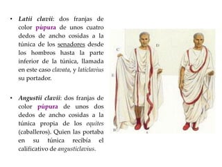 • Latii clavii: dos franjas de
color púpura de unos cuatro
dedos de ancho cosidas a la
túnica de los senadores desde
los h...