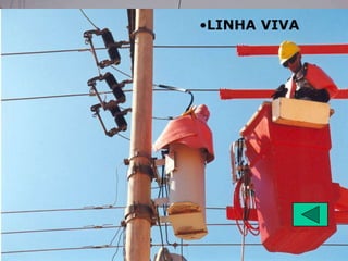 •LINHA VIVA
 