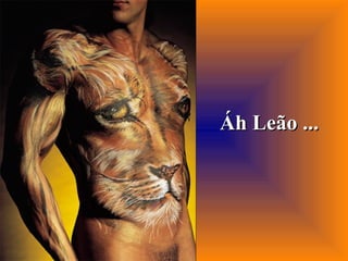 Áh Leão ... 