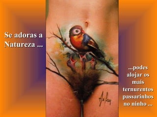 Se adoras a Natureza ... ...podes alojar os mais ternurentos passarinhos no ninho ... 