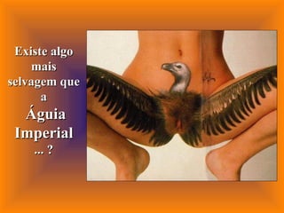 Existe algo mais selvagem que a  Águia Imperial ... ? 