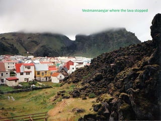 Vestmannaeyjar where the lava stopped
 