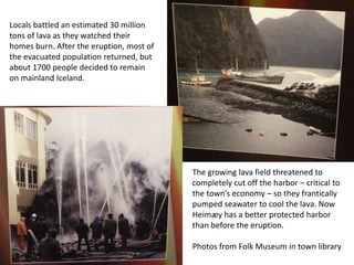 Locals battled an estimated 30 million
tons of lava as they watched their
homes burn. After the eruption, most of
the evacuated population returned, but
about 1700 people decided to remain
on mainland Iceland.




                                          The growing lava field threatened to
                                          completely cut off the harbor – critical to
                                          the town’s economy – so they frantically
                                          pumped seawater to cool the lava. Now
                                          Heimæy has a better protected harbor
                                          than before the eruption.

                                          Photos from Folk Museum in town library
 