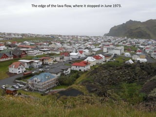 The edge of the lava flow, where it stopped in June 1973.
 