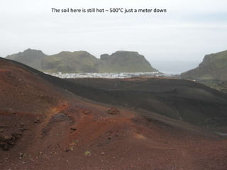 The soil here is still hot – 500°C just a meter down
 