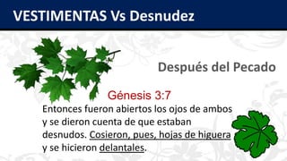 VESTIMENTAS Vs Desnudez
Después del Pecado
Génesis 3:7
Entonces fueron abiertos los ojos de ambos
y se dieron cuenta de que estaban
desnudos. Cosieron, pues, hojas de higuera
y se hicieron delantales.
 