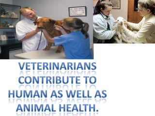 Veterinarians contribute to human as well as animal health. 