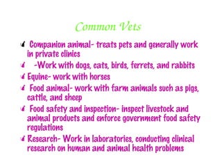 Common Vets
 Companion animal- treats pets and generally work
 in private clinics
 -Work with dogs, cats, birds, ferrets, and rabbits
Equine- work with horses
 Food animal- work with farm animals such as pigs,
 cattle, and sheep
 Food safety and inspection- inspect livestock and
 animal products and enforce government food safety
 regulations
Research- Work in laboratories, conducting clinical
 research on human and animal health problems
 