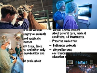  Operate medical equipment
 Examine animals to diagnose            such as radiographic or
  their health problems                  ultrasound equipment
 Treat and dress wounds                Advise animal owners
 Perform surgery on animals             about general care, medical
 Test for and vaccinate against         conditions, ad treatments
  diseases                              Prescribe medication
 Collect body tissue, feces, blood,
  urine, and other body fluids for      Euthanize animals
  examination and analysis              Attend lectures,
 Educate the public about diseases      conferences, or continuing
  that can be spread from animals        education courses
  to humans



                         Duties&Tasks 
 