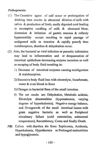 Pathogenesis: 
(1) The Causative agent of calf scour or prolongation of 
drinking time results in abnormal dilution of milk with 
saliva & production of froth, easily digested curd leading 
to incomplete curdling of milk & abomasal bloat, 
distension & irritation of gastric mucosa & reflexly 
hypermotility occurs resulting in rapid passage of 
undigested milk to intestine & rapidly putrefy then 
malabsorption, diarrhea & dehydration occur. 
(2) Also, the bacterial or viral infection or parasitic infestation 
may lead to inflammation and or desquamation of 
intestinal epithelium decreasing enzyme secretion as well 
as escaping of body fluid resulting in: 
1) Decrease of intestinal enzymes causing maldigestion 
& malabsorption. 
2) Excessive body fluid loss with electrolyte, bicarbonate, 
water & even blood in feces 
3) Changes in bacterial flora of the small intestine. 
4) The net results are: Dehydration, Metabolic acidosis, 
Electrolyte abnormalities (hyponatremia, varying 
degrees of hyperkalemia), Negative energy balance, 
and Overgrowth o f the small intestinal lumen with 
gram negative bacteria as well as Peripheral 
circulatory failure (cold extremities, subnormal 
temperature), Recumbency, Coma and finally Death. 
NB: Calves with diarrhea die from: Septicemia, Acidemia, 
Hyperkalemia, Hypothermia or Prolonged malnutrition 
and hypoglycemia. 
- 105- 
 