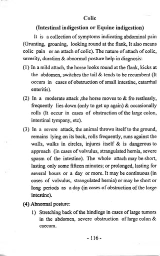 Colic 
(Intestinal indigestion or Equine indigestion) 
It is a collection of symptoms indicating abdominal pain 
(Grunting, groaning, looking round at the flank, It also means 
colic pain or an attach of colic). The nature of attach of colic, 
severity, duration & abnormal posture help in diagnosis: 
(1) In a mild attach, the horse looks round at the flank, kicks at 
the abdomen, switches the tail & tends to be recumbent (It 
occurs in cases of obstruction of small intestine, catarrhal 
enteritis). 
(2) In a moderate attack ,the horse moves to & fro restlessly, 
frequently lies down (only to get up again) & occasionally 
rolls (It occur in cases of obstruction of the large colon, 
intestinal tympany, etc). 
(3) In a severe attack, the animal throws itself to the ground, 
remains lying on its back, rolls frequently, runs against the 
walls, walks in circles, injures itself & is dangerous to 
approach (in cases of volvulus, strangulated hernia, severe 
spasm of the intestine). The whole attach may be short, 
lasting only some fifteen minutes; or prolonged, lasting for 
several hours or a day or more. It may be continuous (in 
cases of volvulus, strangulated hernia) or may be short or 
long periods as a day (in cases of obstruction of the large 
intestine). 
(4) Abnormal posture: 
I) Stretching back of the hindlegs in cases of large tumors 
in the abdomen, severe obstruction of large colon & 
caecum. 
- 116- 
 