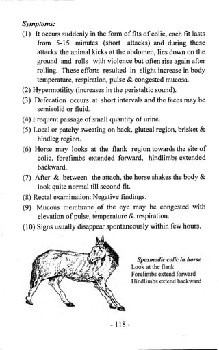 Symptoms: 
(1) It occurs suddenly in the form of fits of colic, each fit lasts 
from 5-15 minutes (short attacks) and during these 
attacks the animal kicks at the abdomen, lies down on the 
ground and rolls with violence but often rise again after 
rolling. These efforts resulted in slight increase in body 
temperature, respiration, pulse & congested mucosa. 
(2) Hypermotility (increases in the peristaltic sound). 
(3) Defecation occurs at short intervals and the feces may be 
semisolid or fluid. 
(4) Frequent passage of small quantity of urine. 
(5) Local or patchy sweating on back, gluteal region, brisket & 
hindleg region. 
(6) Horse may looks at the flank region towards the site of 
colic, forefimbs extended forward, hindlimbs extended 
backward. 
(7) After & between the attach, the horse shakes the body & 
look quite normal till second fit. 
(8) Rectal examination: Negative findings. 
(9) Mucous membrane of the eye may be congested with 
elevation of pulse, temperature & respiration. 
(10) Signs usually disappear spontaneously within few hours. 
- 118- 
 