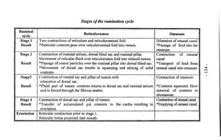Stages of the rumination cycle 
Ruminal 
cycle Reticulorumen Omasum 
Stage 1 
Result 
Two contractions of reticulum and reticuloruminal fold 
* Reticular contents pass over reticuloruminal fold into rumen. 
Dilatation of omasal canal 
♦Passage of feed into the 
omasum 
Stage 2 
Result 
Contraction of ruminal atrium, dorsal blind sac and ruminal pillar. 
Movement of reticular fluid over reticulorumin fold into relaxed rumen. 
*Passage of coarse particles over the ruminal pillar into dorsal blind sac. 
*Movement of dorsal sac results in squeezing and mixing of solid 
contents. 
Contraction of omasal 
canal 
♦Transport of feed from 
omasal canal into omasum 
Stage3 
Result 
Contraction of ventral sac and pillar of rumen with 
relaxation of dorsal sac. 
* Fluid part of rumen contents returns to dorsal sac and ruminal atrium 
and is forced through the fibrous matter. 
Contraction of omasum 
♦Contents squeezed. Slow 
removal of contents to 
abomasum. 
Stage 4 
Result 
Contraction of dorsal sac and pillar of rumen. 
♦Transfer of accumulated gut contents to the cardia resulting in 
eructation. 
Contraction of omasal canal. 
♦Emptying of omasal canal. 
Eructation Reticular contraction prior to stage 1. 
Reticular bolus projected into mouth. 
 