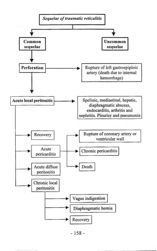 Sequelae of traumatic reticulitis 
- 158- 
 