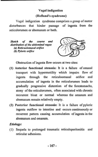 Vagal indigestion 
(Hoflund's syndrome) 
Vagal indigestion syndrome comprises a group of motor 
disturbances that hinder passage of ingesta from the 
reticulorumen or abomasum or both. 
Sketch of the course and 
distribution of the abdominal vagus 
(a) Reticuolomasal orifice 
(b) Pyloric orifice 
Obstruction of ingesta flow occurs at two sites: 
(1) Anterior functional stenosis: It is a failure ofomasal 
transport with hypermotility which impairs flow of 
ingesta through the reticuloomasal orifice and 
accumulation of ingesta in the reticulorumen leads to 
gradually progressive distention of the forestomachs, 
atony of the reticulorumen, often associated with chronic 
reccurent bloat or normal whereas the omasum and 
abomasum remain relatively empty. 
(2) Posterior functional stenosis: It is a failure of pyloric 
ingesta outflow to intestine and occurs continuously or 
recurrent pattern causing accumulation of ingesta in the 
abomasum and omasum. 
Etiology: 
(1) Sequela to prolonged traumatic reticuloperitonitis and 
reticular adhesions. 
- 1 6 7 - 
 