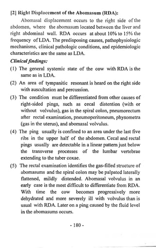 [2] Right Displacement of the Abomasum (RDA): 
Abomasal displacement occurs to the right side of the 
abdomen, where the abomasum located between the liver and 
right abdominal wall. RDA occurs at about 10% to 15% the 
frequency of LDA. The predisposing causes, pathophysiologic 
mechanisms, clinical pathologic conditions, and epidemiologic 
characteristics are the same as LDA. 
Clinical findings: 
(1) The general systemic state of the cow with RDA is the 
same as in LDA. 
(2) An area of tympanitic resonant is heard on the right side 
with auscultation and percussion. 
(3) The condition must be differentiated from other causes of 
right-sided pings, such as cecal distention (with or 
without volvulus), gas in the spiral colon, pneumorectum 
after rectal examination, pneumoperitoneum, physometra 
(gas in the uterus), and abomasal volvulus. 
(4) The ping usually is confined to an area under the last five 
ribs in the upper half of the abdomen. Cecal and rectal 
pings usually are detectable in a linear pattern just below 
the transverse processes of the lumbar vertebrae 
extending to the tuber coxae. 
(5) The rectal examination identifies the gas-filled structure of 
abomasums and the spiral colon may be palpated laterally 
flattened, mildly distended. Abomasal volvulus in an 
early case is the most difficult to differentiate from RDA. 
With time the cow becomes progressively more 
dehydrated and more severely ill with volvulus than is 
usual with RDA. Later on a ping caused by the fluid level 
in the abomasums occurs. 
- 180- 
 