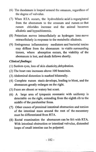 (6) The duodenum is looped around the omasum, regardless of 
the degree of volvulus. 
(7) When RTA occurs, the hydrochloric acid is regurgitated 
from the abomasum to the omasum and rumen so that 
rumen chlorides increase and the animal becomes 
alkalotic and hypochloremic. 
(8) Potassium moves intracellularly as hydrogen ions move 
extracellularly in response to the metabolic alkalosis. 
(9) Endogenous inflammatory mediators and bacterial toxins 
may diffuse from the abomasum to viable surrounding 
tissues, where absorption occurs, the viability of the 
abomasum is lost, and death follows shortly. 
Clinical findings: 
(1) Sunken eyes, loss of skin elasticity,dehydration. 
(2) The heart rate increases above 100 beats/min. 
(3) Abdominal distention is marked bilaterally. 
(4) Complete rumen stasis develops, leading to bloat, and the 
abomasum greatly enlarges on the right. 
(5) Feces are absent or watery but scant. 
(6) A large area of tympanic resonanic with uniformy is 
detectable on the right, extending from the eighth rib to the 
middle of the paralumbar fossa. 
(7) Other causes of proximal intestinal obstruction and torsion 
of the intestinal mass around the root of the mesentery 
must be differentiated from RTA. 
(8) Rectal examination the abomasum can be felt with RTA. 
With intestinal obstruction or intestinal volvulus, distended 
loops of small intestine can be palpated. 
 