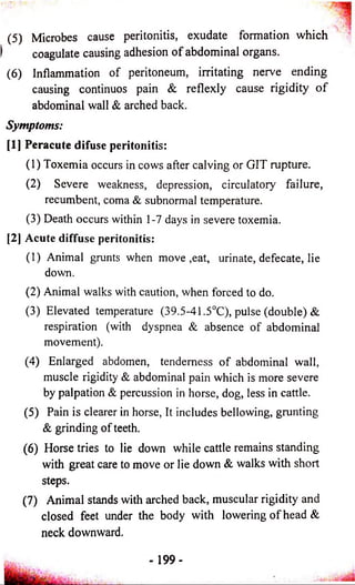 (5) Microbes cause peritonitis, exudate formation which 
coagulate causing adhesion o f abdominal organs. 
(6) Inflammation of peritoneum, irritating nerve ending 
causing continuos pain & reflexly cause rigidity o f 
abdominal wall & arched back. 
Symptoms: 
[1] Peracute difuse peritonitis: 
(1) Toxemia occurs in cows after calving or GIT rupture. 
(2) Severe weakness, depression, circulatory failure, 
recumbent, coma & subnormal temperature. 
(3) Death occurs within 1-7 days in severe toxemia. 
[2] Acute diffuse peritonitis: 
(1) Animal grunts when move ,eat, urinate, defecate, lie 
down. 
(2) Animal walks with caution, when forced to do. 
(3) Elevated temperature (39.5-41.5°C), pulse (double) & 
respiration (with dyspnea & absence of abdominal 
movement). 
(4) Enlarged abdomen, tenderness o f abdominal wall, 
muscle rigidity & abdominal pain which is more severe 
by palpation & percussion in horse, dog, less in cattle. 
(5) Pain is clearer in horse, It includes bellowing, grunting 
& grinding of teeth. 
(6) Horse tries to lie down while cattle remains standing 
with great care to move or lie down & walks with short 
steps. 
(7) Animal stands with arched back, muscular rigidity and 
closed feet under the body with lowering o f head & 
neck downward. 
199- 
 