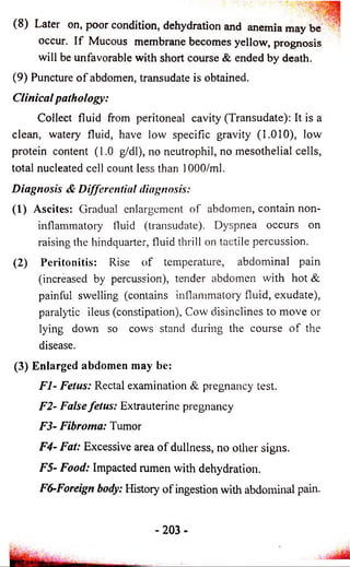 (8) Later on, poor condition, dehydration and anemia may be 
occur. If Mucous membrane becomes yellow, prognosis 
will be unfavorable with short course & ended by death. 
(9) Puncture o f abdomen, transudate is obtained. 
Clinical pathology: 
Collect fluid from peritoneal cavity (Transudate): It is a 
clean, watery fluid, have low specific gravity (1.010), low 
protein content (1.0 g/dl), no neutrophil, no mesothelial cells, 
total nucleated cell count less than 1000/ml. 
Diagnosis & Differential diagnosis: 
(1) Ascites: Gradual enlargement of abdomen, contain non­inflammatory 
fluid (transudate). Dyspnea occurs on 
raising the hindquarter, fluid thrill on tactile percussion. 
(2) Peritonitis: Rise of temperature, abdominal pain 
(increased by percussion), tender abdomen with hot & 
painful swelling (contains inflammatory fluid, exudate), 
paralytic ileus (constipation), Cow disinclines to move or 
lying down so cows stand during the course of the 
disease. 
(3) Enlarged abdomen may be: 
FI- Fetus: Rectal examination & pregnancy test. 
F2- False fetus: Extrauterine pregnancy 
F3- Fibroma: Tumor 
F4- Fat: Excessive area of dullness, no other signs. 
F5- Food: Impacted rumen with dehydration. 
F6-Foreign body: History of ingestion with abdominal pain. 
-203 
 